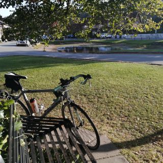 Profile photo for Liz Harbord