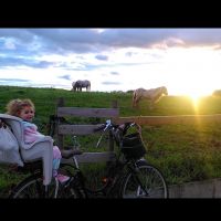 Profile photo for Christina  Farkas 