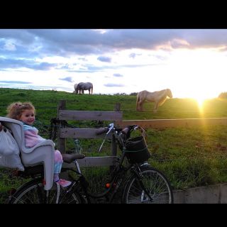 Profile photo for Christina  Farkas 