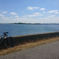 Profile photo for Daniel Holland