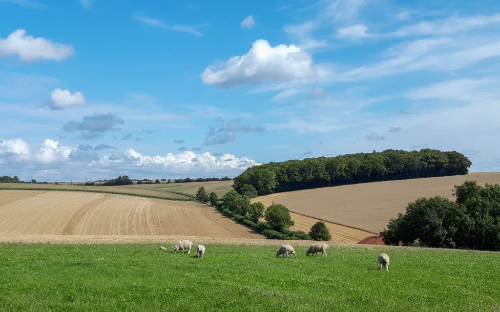 Let's Ride Crazies Hill to Frieth via Rotten Row