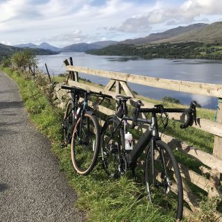 Profile photo for Irene Randall