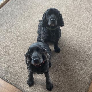 Profile photo for Jennifer Chumley