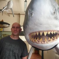 Profile photo for James Andrews