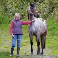 Profile photo for Lesley Endean