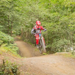 Profile photo for David Williams