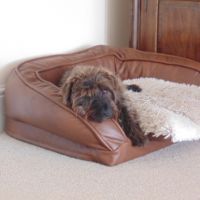 Profile photo for Amanda Price