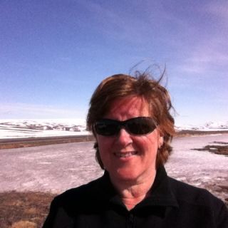 Profile photo for Karen Staff