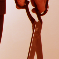 Profile photo for Mark Purcell