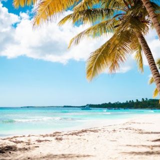 Profile photo for Bassam Mohammed