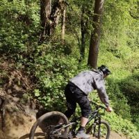 Profile photo for Paul Stokes