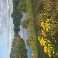 Profile photo for Pauline Rose