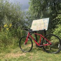 Profile photo for Andrea Moss