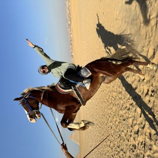 Profile photo for Faten  Jammoul 