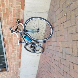 Profile photo for Aisha Kirby