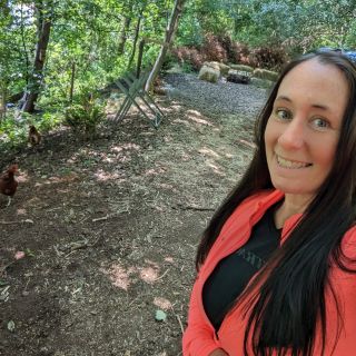 Profile photo for Gill Turton