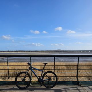 Profile photo for James Flynn