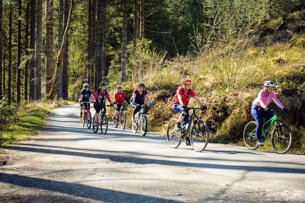 Llyn cycle centre deals