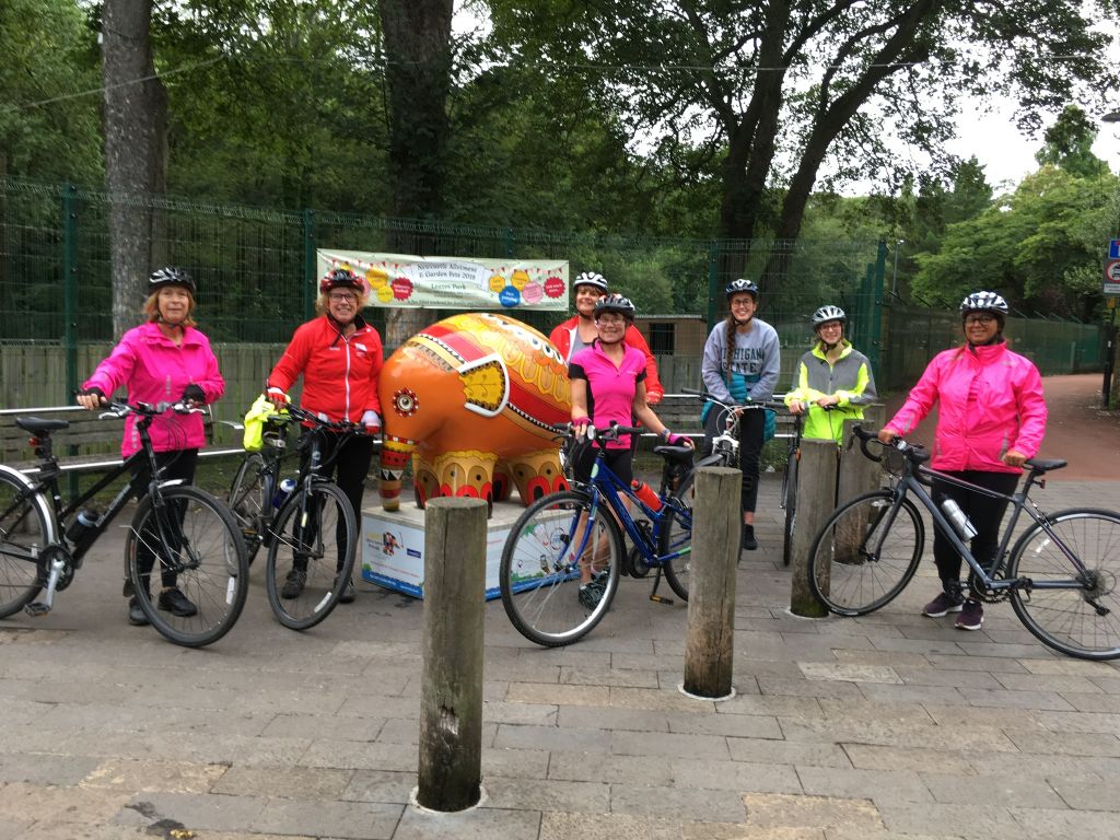 Let's Ride This Girl Can Cycle Elmer spotting in the city