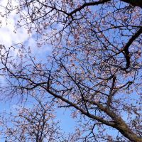 Profile photo for Wiebke  McGhee 