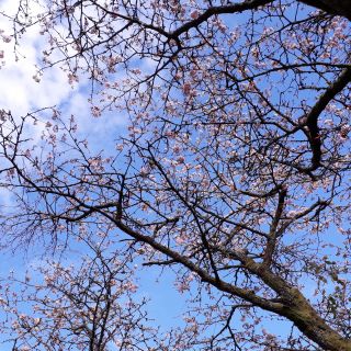 Profile photo for Wiebke  McGhee 