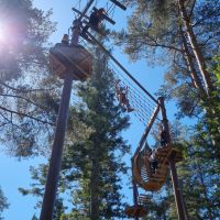 Profile photo for Frances Moore