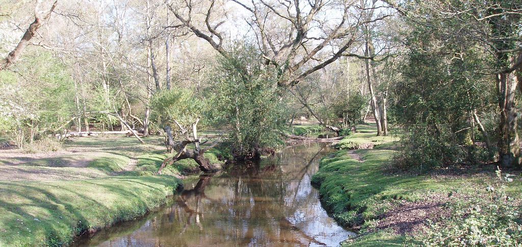 new forest circular cycle routes