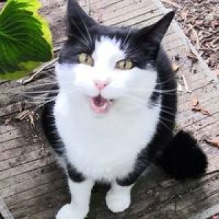 Profile photo for Christine Salvidge