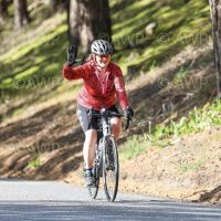 Profile photo for Jenny Boyle 