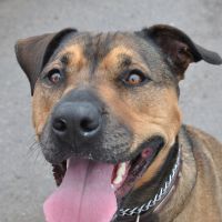 Profile photo for Susie Sounds