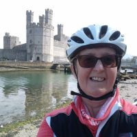 Profile photo for Sue Cottam