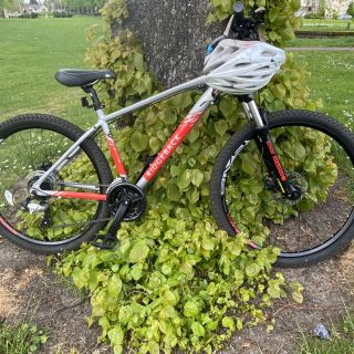 Profile photo for Samantha Whiteside