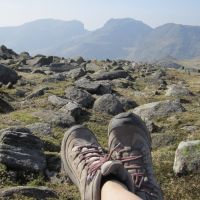 Profile photo for Kath Thorley