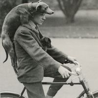 Profile photo for Andrew Cassie