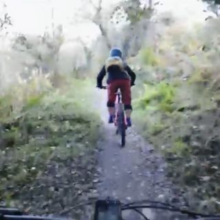 Profile photo for Tracey Bolton