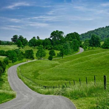 Photo for West London Roadie Bunch