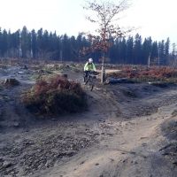 Profile photo for Ali Fletcher 