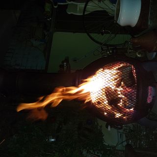 Profile photo for Kevin Allan