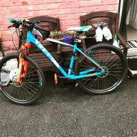 Profile photo for Brett Davidson