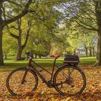 Profile photo for Catharine Kingcome