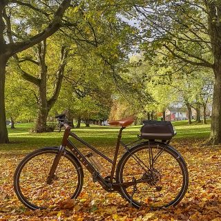 Profile photo for Catharine Kingcome