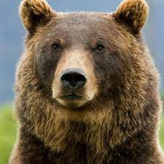 Profile photo for Stephen West