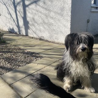 Profile photo for Alison Frankland