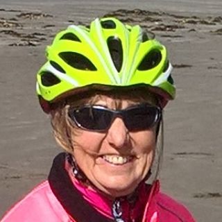 Profile photo for Jan Dingley