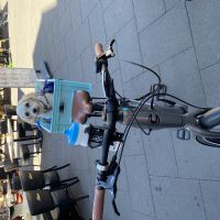 Profile photo for Richard Timson