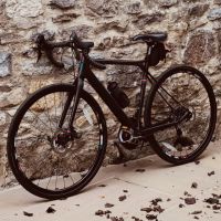 Profile photo for Paula  Bray