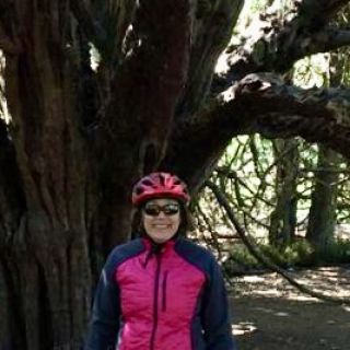 Profile photo for Carol Brown