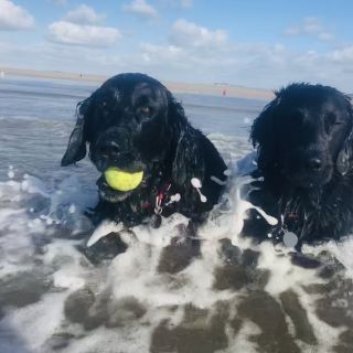 Profile photo for Victoria Humphries 