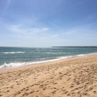 Profile photo for Amrit Dhesi