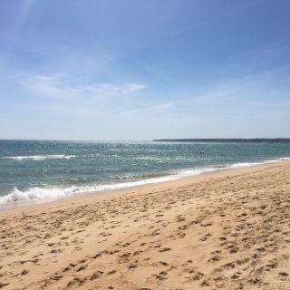 Profile photo for Amrit Dhesi